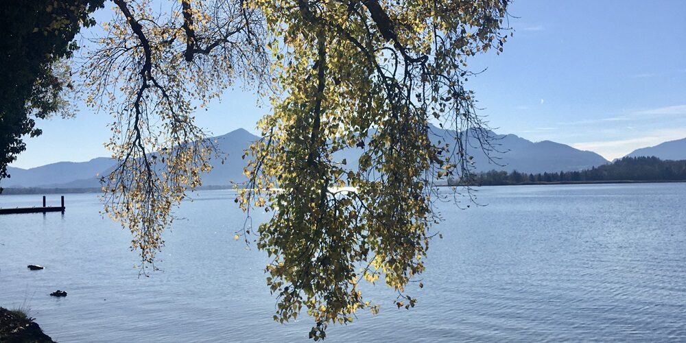 Sabbatical – am Tegernsee Ganservital