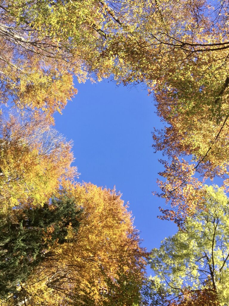 Fernwandern für die Sinne Ganservital